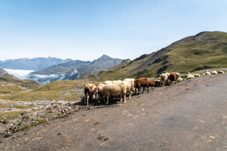 Route du col des Tentes