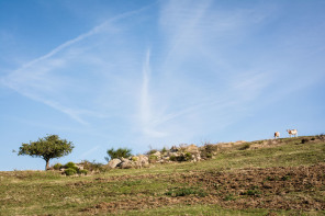 Randonnée du serre de Lès