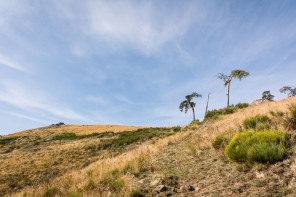 Randonnée du serre de Lès