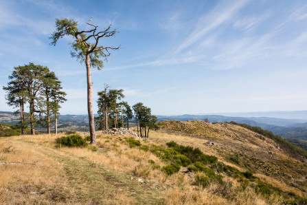 Randonnée du serre de Lès