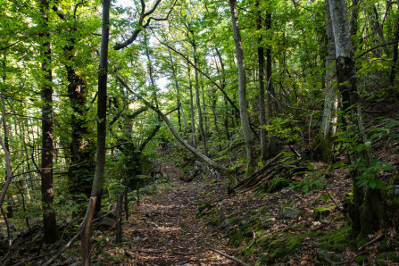 Randonnée du serre de Lès