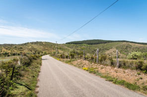 Randonnée du serre des Girodins