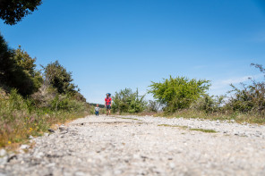 Randonnée du serre des Girodins