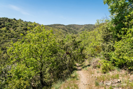 Randonnée du serre des Girodins