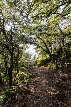 Randonnée du tour de La Dunière