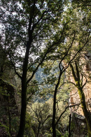 Randonnée du tour de La Dunière