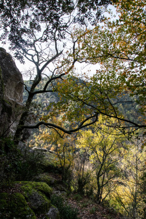 Randonnée du tour de La Dunière