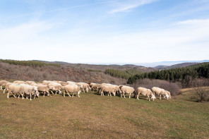 Randonnée autour du col de Gilhac