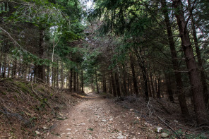 Randonnée autour du col de Gilhac