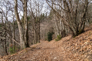 Randonnée autour du col de Gilhac