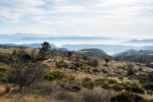 Vallée de l'Ouvèze