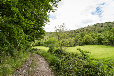 Randonnée du Vieux Rompon au couvent des Chèvres