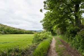 Randonnée du Vieux Rompon au couvent des Chèvres