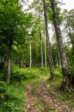 Randonnée du pas de la Balme