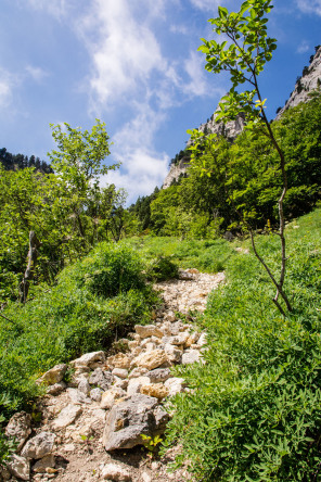 Randonnée du pas de l'Aiguille