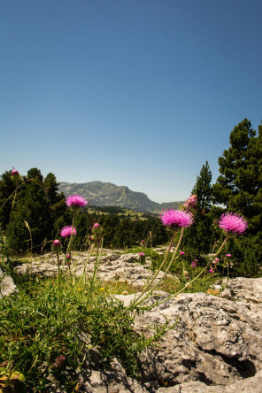 Randonnée du pas de l'Aiguille