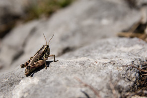 Randonnée du pas de l'Aiguille