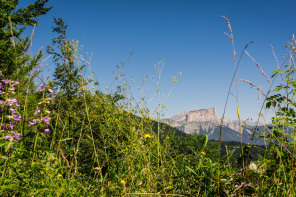 Panorama vers le col de Menée