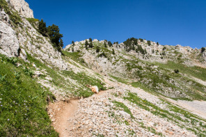 Randonnée du Grand Veymont