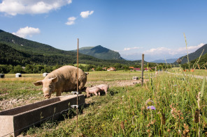 Ferme du pas de l'Aiguille