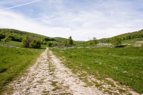 Randonnée du plateau d'Ambel