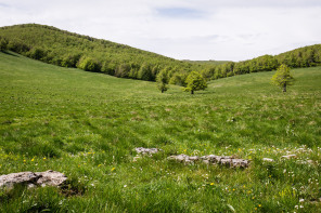 Randonnée du plateau d'Ambel