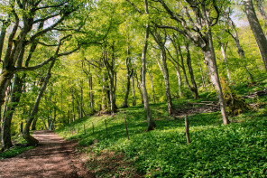 Randonnée du plateau d'Ambel