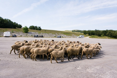 Trek autour des Hauts Plateaux – Parking de Beure