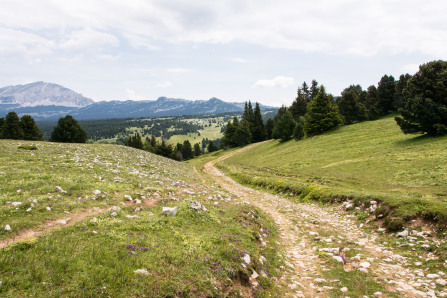 Trek autour des Hauts Plateaux – Entre le chalet des Ours et le pas des Econdus