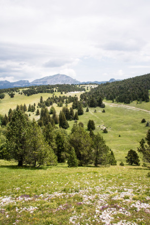 Trek autour des Hauts Plateaux – Entre le chalet des Ours et le pas des Econdus