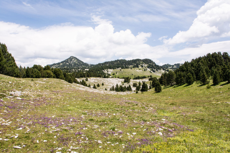 Trek autour des Hauts Plateaux – Entre le pas des Econdus et la cabane de Pré-Peyret