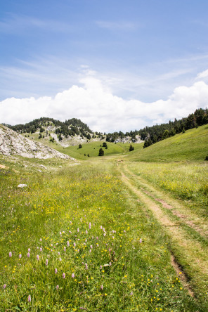 Trek autour des Hauts Plateaux – Après la cabane de Pré Peyret