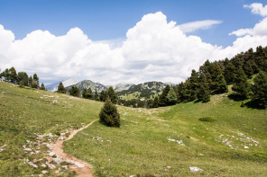 Trek autour des Hauts Plateaux – Entre le pas de Chabrinel et le Pison