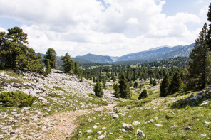 Trek autour des Hauts Plateaux – Col du Pison