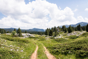 Trek autour des Hauts Plateaux – Entre le col du Pison et la fontaine des Bachassons