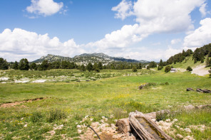 Trek autour des Hauts Plateaux – Fontaine des Bachassons