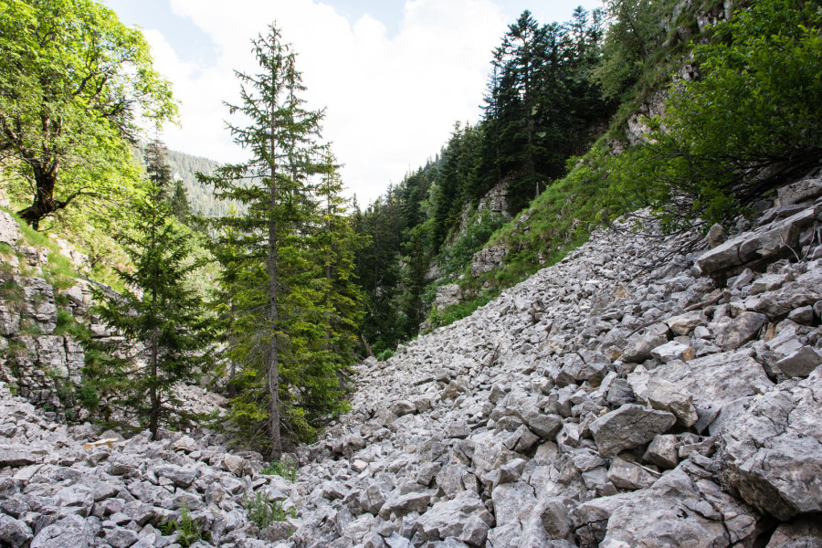 Trek autour des Hauts Plateaux – Combe de l'Aubaise