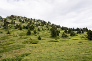 Trek autour des Hauts Plateaux – Tête du Petit Jardin