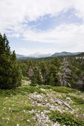 Trek autour des Hauts Plateaux – Entre la Tête du Petit Jardin et la Tête du Peyssé