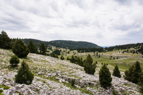 Trek autour des Hauts Plateaux – Entre la tête du Peyssé et la bergerie du Jardin Roi