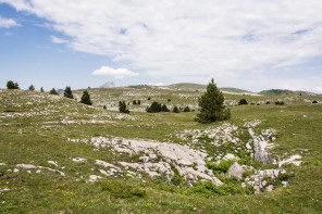 Trek autour des Hauts Plateaux – Entre la bergerie du Jardin Roi et le pied de la Montagnette