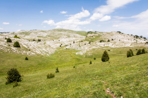 Trek autour des Hauts Plateaux – Entre le pas de la Coche et la fontaine de Creuson