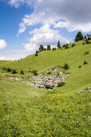 Trek autour des Hauts Plateaux – Plaine de Chamousset jusqu'à la tête Chevalière