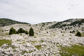 Trek autour des Hauts Plateaux – Entre les falaises au nord du pas de l'Aiguille et la plaine de la Queyrie