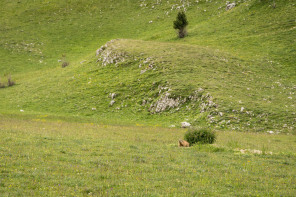 Trek autour des Hauts Plateaux – Plaine de la Queyrie