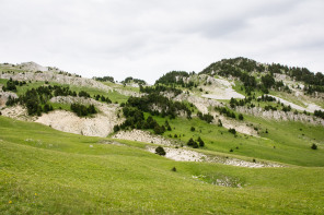 Trek autour des Hauts Plateaux – Plaine de la Queyrie