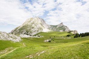 Trek autour des Hauts Plateaux – Le Grand Veymont depuis Montaveilla