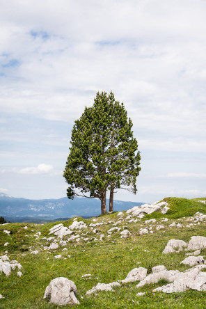 Trek autour des Hauts Plateaux – Pas des Chattons