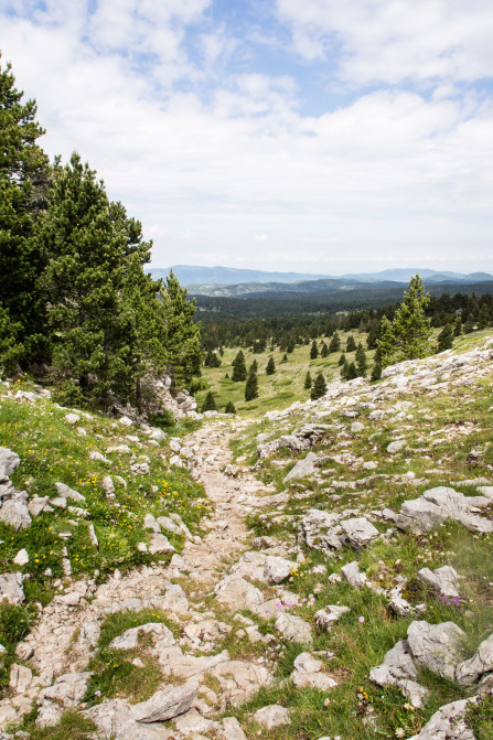 Trek autour des Hauts Plateaux – Entre le pas des Chattons et la Grande Cabane