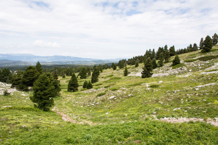 Trek autour des Hauts Plateaux – Entre le pas des Chattons et la Grande Cabane